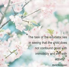 maria montessori quotes source http pinterest com cmontessori quotes ...