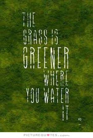 The grass is greener where you water it Picture Quote #1