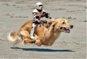 added oct 6 2011 image size 433 x 298 px more from s1 funnyjunk com ...