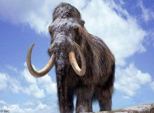 Nearly complete Columbian mammoth discovered at La Brea Tar Pits