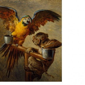 Monkee stealing Macaw food