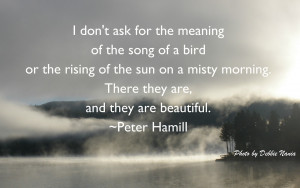 Welcome To My Colorful World!