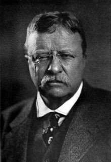 Theodore Roosevelt