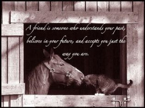 Horse Quotes About Friendship