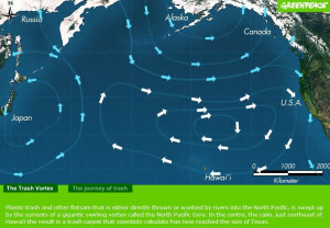 atlantic ocean trash vortex