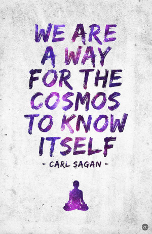 carl sagan quote we are a way for the cosmos to know itself Imgur