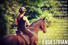 ... quotes hors quotes equestrian life horses quotes horsey true stories