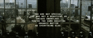 You are not special. You are not a beautiful or unique snowflake. You ...