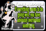 Cow Quotes Myspace Cow Quotes Layout Graphics Graphics - Myspace Funny ...