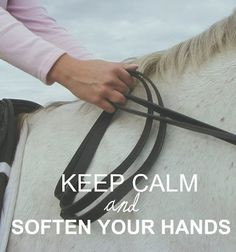 Horse Quotes