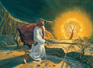 Story #1 – Moses and the Burning Bush