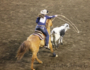 Team Roping Quotes Team roping consisted of two