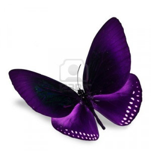 Purple Butterfly volant
