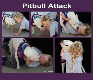This just in: Another Pit Bull Attack!!!