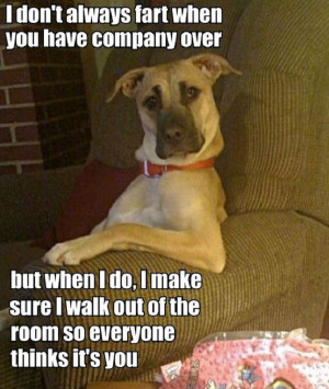 Funny Farting Dog