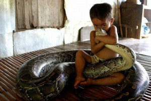 Liten pojke gosar med orm