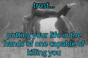 and them allowing you on their back...mutual trust: 640425 Pixel ...