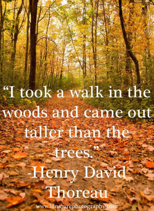 ... Henry David Thoreau #photography #nature #henrydavidthoreau #quote