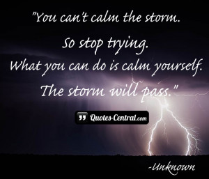 You can’t calm the storm.