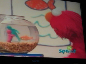 What’s going on in your fish tank, Elmo?
