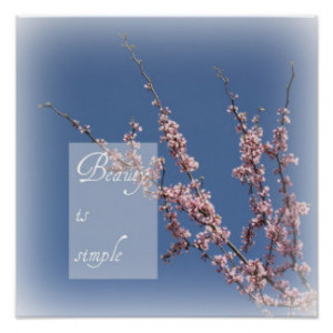 Zen- Beauty is Simple Cherry Blossom Poster