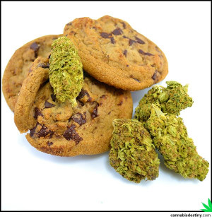 marijuana #cannabis #weed #chocolatechipcookies #munchies #maryjane
