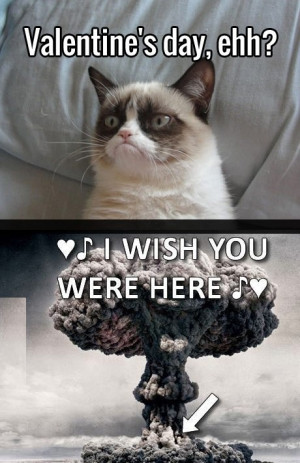 funny grumpy cat pictures with quotesGrumpy Cat Quotes Funny Photos ...