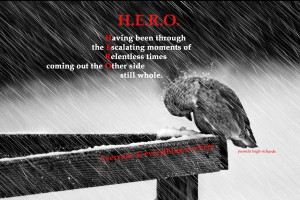 Quotes About Being a Hero