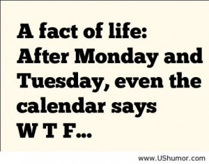 Fact of life with week days US Humor - Funny pictures, Quotes, Pics ...