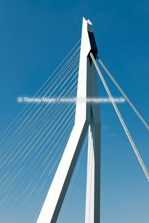 Erasmus Bridge Rotterdam 088AA20090804D5267