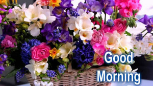 Rishika Jain's Inspirations: Good Morning to all my friend’s and ...