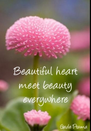 Beautiful heart meet beauty everywhere