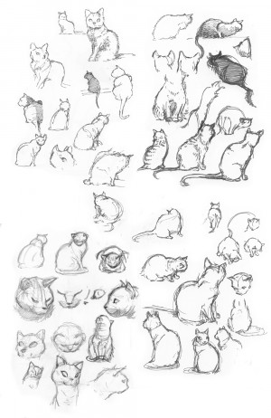 easy-pencil-sketches-of-cat-sketches.jpg