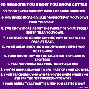 Show Cattle Quotes And Sayings