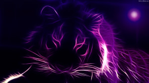 Purple Color Creative Lion 540x303 Purple Color Creative Lion