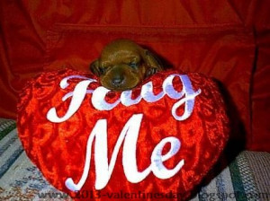 Happy Hug Day Wishes, Gift Ideas and Hug me Pictures 2014