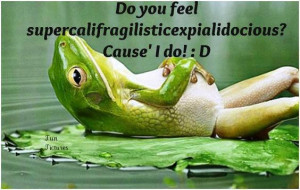 frog car funny frog quotes frog prince funny frog quotes