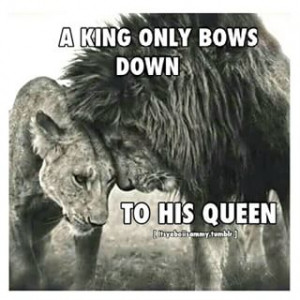king #only #bows #down #to #his #queen  #instagoodnight #lionking ...