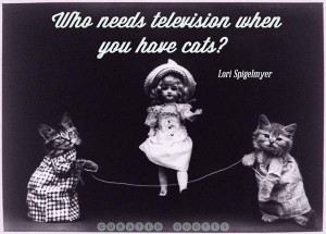 The 52 Funniest Cat Quotes