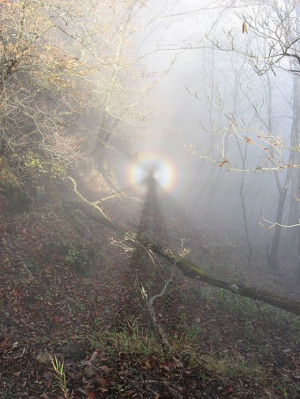 ... of Ghosts - Why Do We Have 'White Lady' and 'Grey Lady' Apparitions