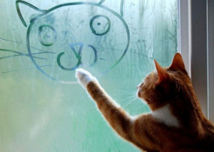 Cat Drawing on Window