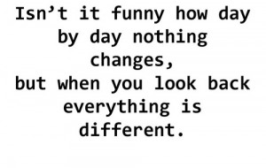 Funny How Quickly Things Change Quotes