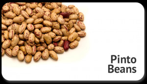 pinto-beans-global-sourcing-commodity