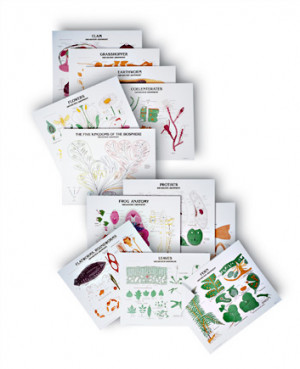 Denoyer-Geppert Science Company