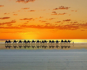 Cable Beach, Broome” by Julia Harwood | Redbubble