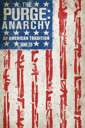 The Purge: Anarchy Imdb Flag