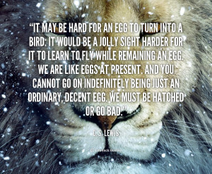 ... just an ordinary decent egg we must be hatched or go bad c s lewis
