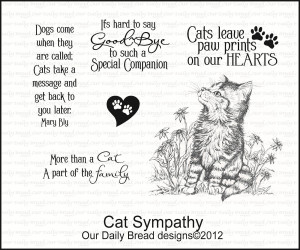 Words Of Sympathy Quotes Cat sympathy