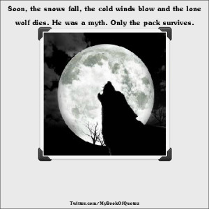 lone wolf quotes source http mybookofquotes com tag wolf