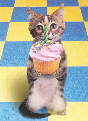 http://www.graphics99.com/funny-kitty-birthday-picture/